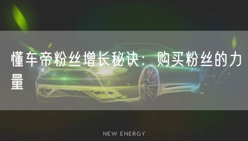 懂车帝粉丝增长秘诀：购买粉丝的力量