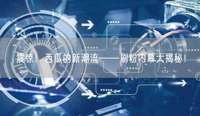 震惊！西瓜的新潮流——刷粉内幕大揭秘！