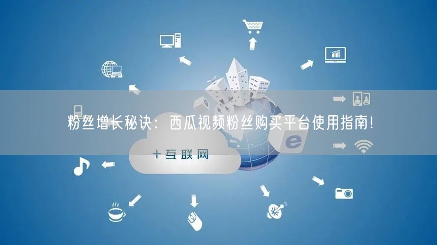 粉丝增长秘诀：西瓜视频粉丝购买平台使用指南！