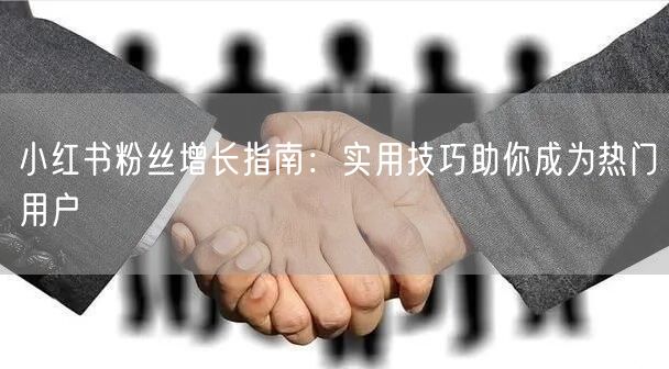 小红书粉丝增长指南：实用技巧助你成为热门用户