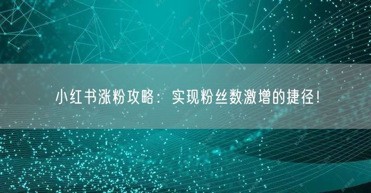 小红书涨粉攻略：实现粉丝数激增的捷径！