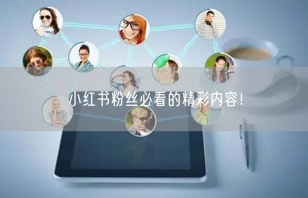 小红书粉丝必看的精彩内容！