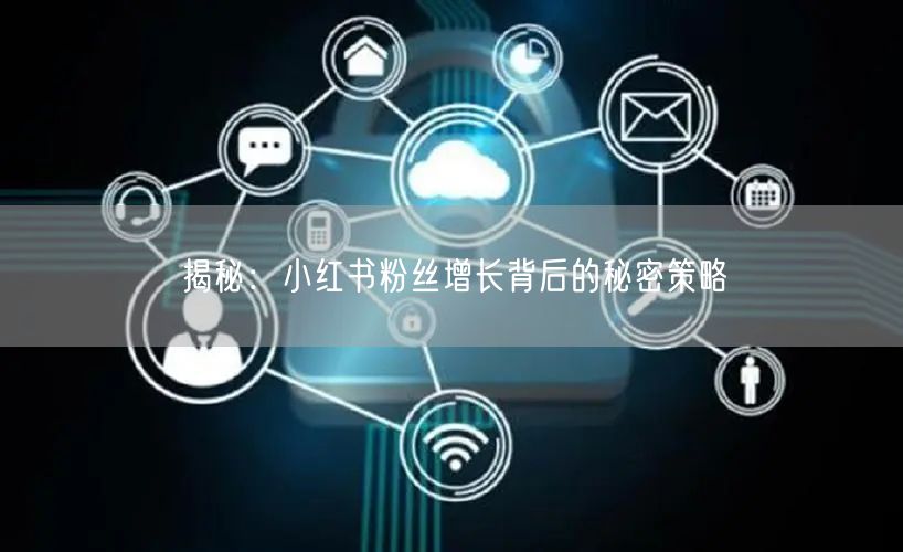 揭秘：小红书粉丝增长背后的秘密策略