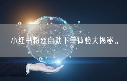 小红书粉丝自助下单体验大揭秘。